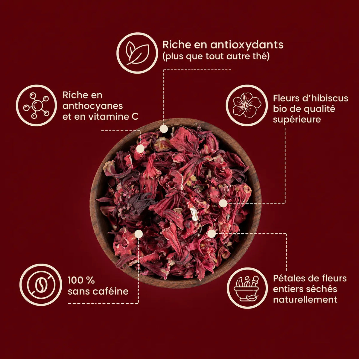 HIBI Thé Hibiscus — Soutien naturel de la tension artérielle