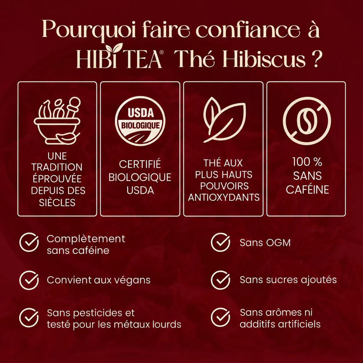HIBI Thé Hibiscus — Soutien naturel de la tension artérielle