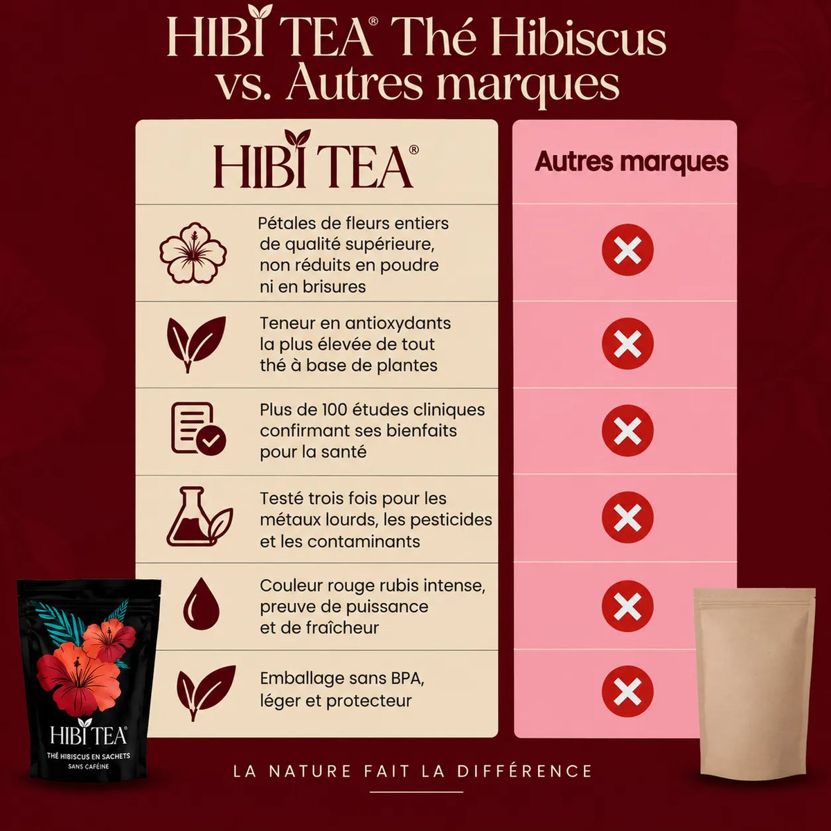 HIBI Thé Hibiscus — Soutien naturel de la tension artérielle